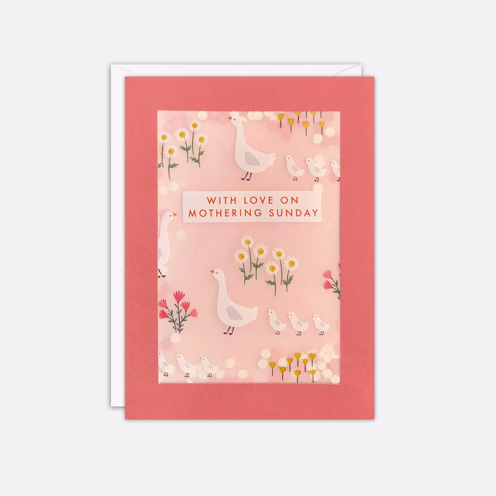 Geese Mothering Sunday Mother's Day Card With Paper Confetti - Shakies By James Ellis