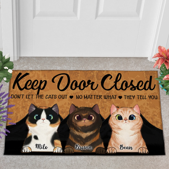 Welcome To My Home - The Human Just Live Here With Me Personalized Cat Door Mat, Gift For Mom, Mat Outside