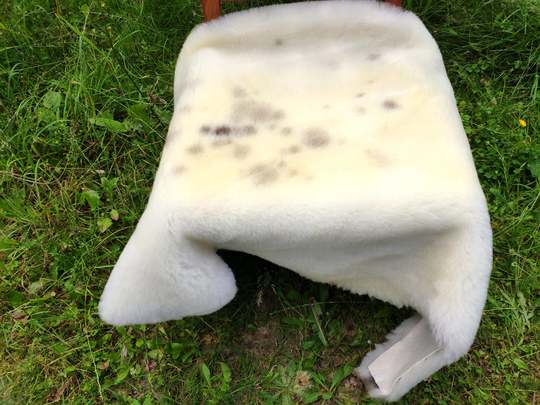 Sheared Sheepskin Rug Ecru Super Soft Eco Pelt Short Haired Throw