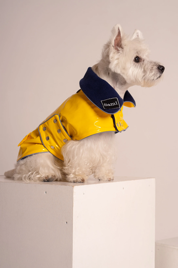 Yellow PVC Dog Coat With Reverse Navy Collar. Metal Studs. Light Reflects. Adjustable. Or Fleece Underlayer. Small & Medium Size
