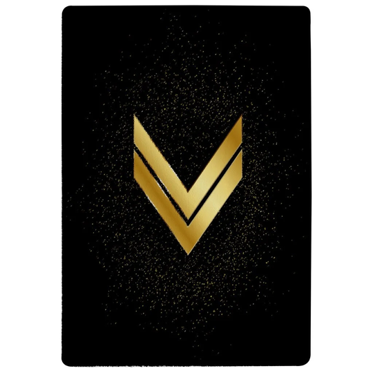Bannan Arrow Designer Shaggy Black/Gold Rug