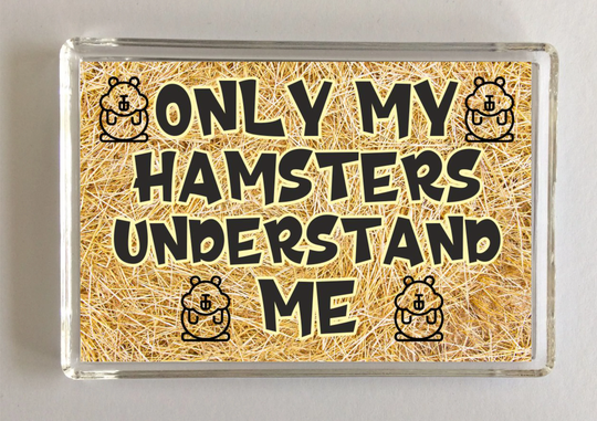 Hamster Fun Gift - Only My Hamsters Understand Me Fridge Magnet Ideal Present For Christmas Birthday Animal Lovers I Love