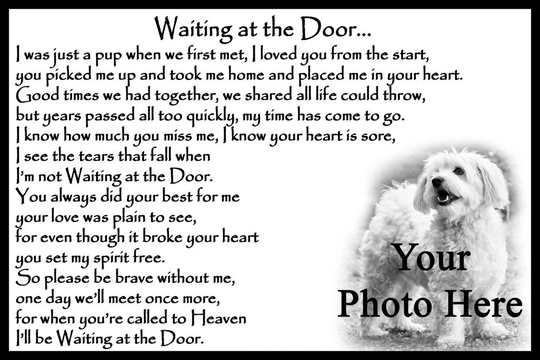 Personalised Pet Dog Memorial Rainbow Bridge Fridge Magnet Waiting At The Door Gift