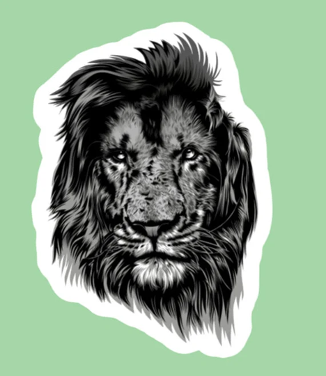 Indoor Fridge Magnet Lion Art Beautiful Magnet - Laminated Glossy Customized Or Personalized