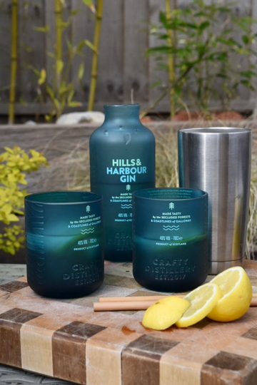Upcycled Hills & Harbour Crafty Gin Glasses; Christmas Stocking Filler Gifts For Him, Gift Her Under 20 Pounds, Unique Gin Mum