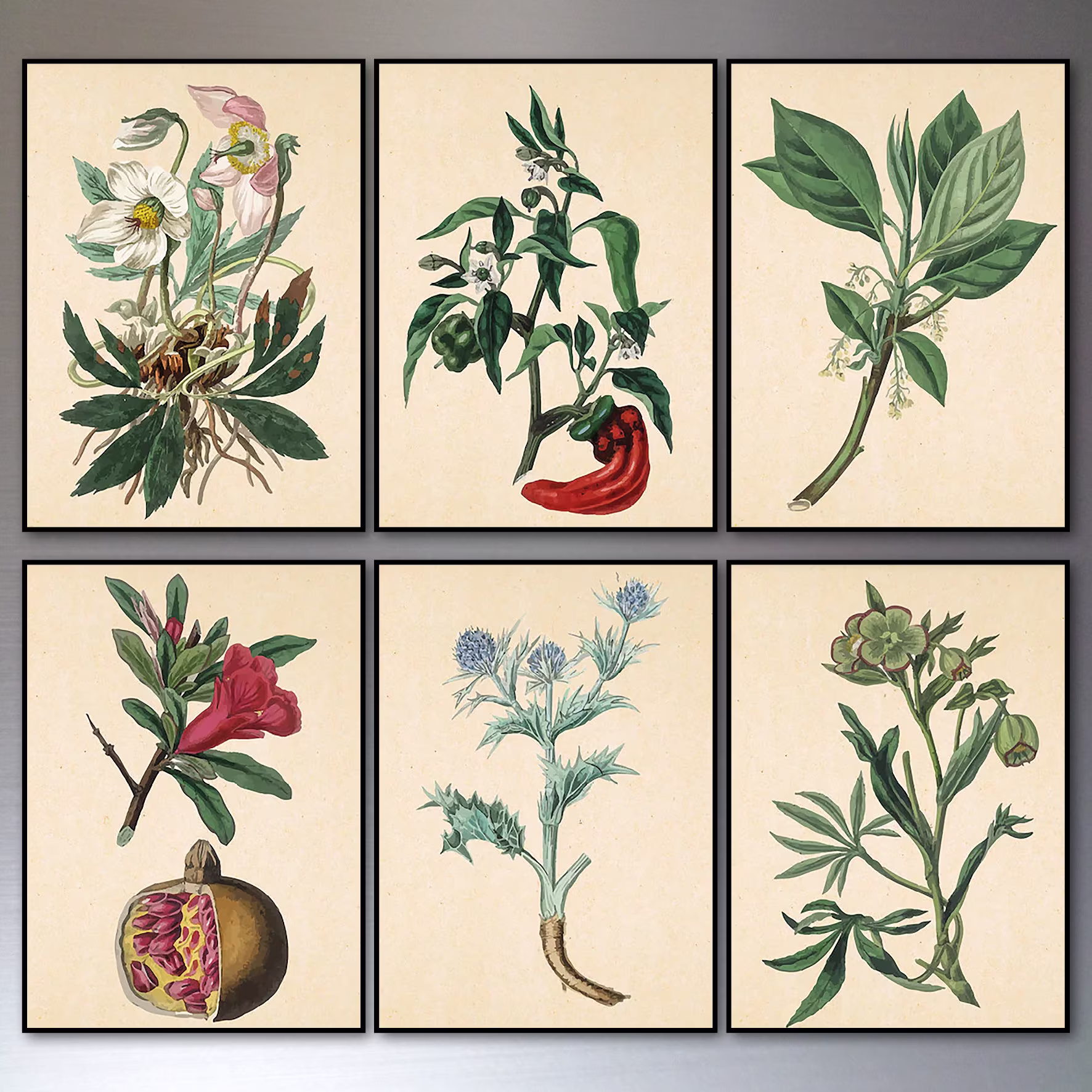 Vintage Floral Water Colour Decorative Fridge Magnets Set Of 6 Flexible No.2