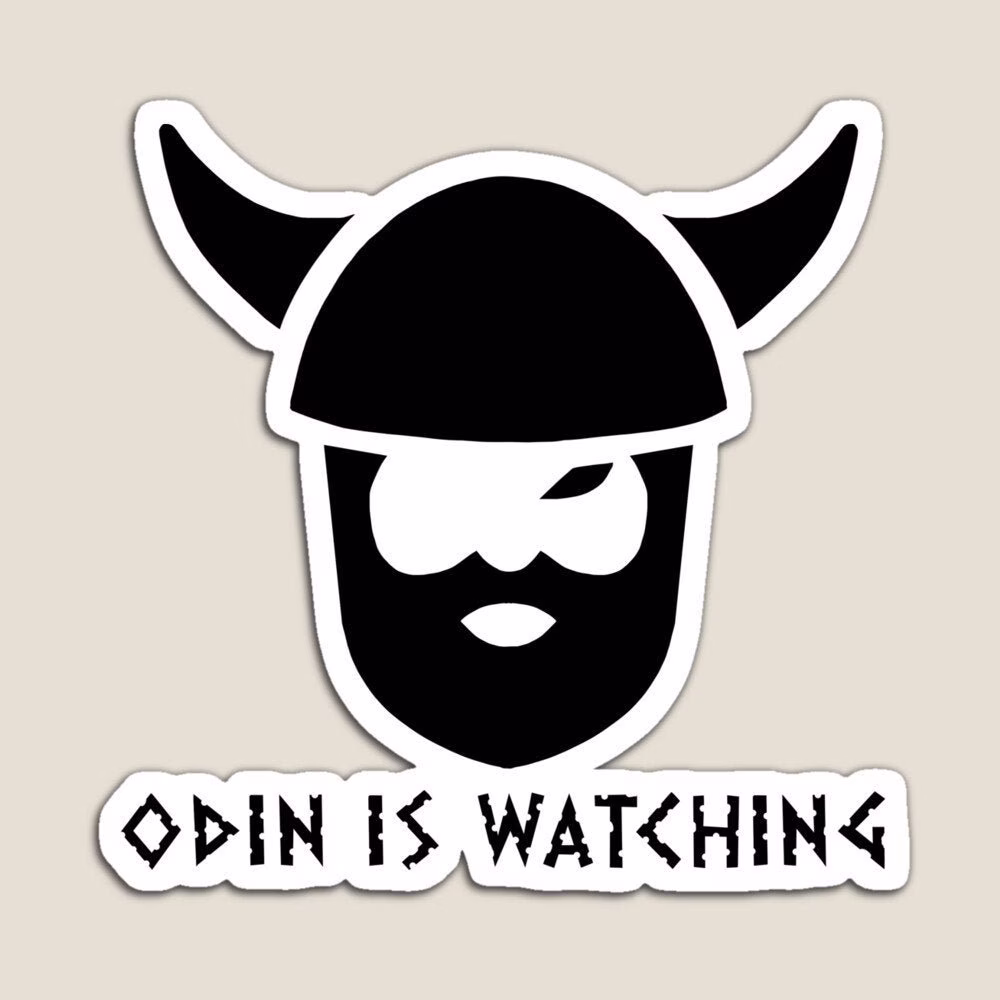 Valheim Viking Video Game "Odin Is Watching