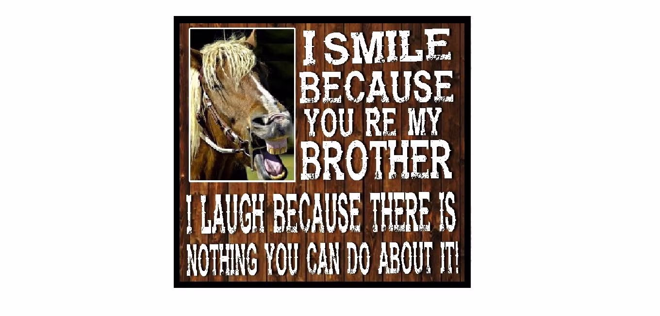 Funny Horse Fridge Magnet Smile Cause You're My Brother Country Decor