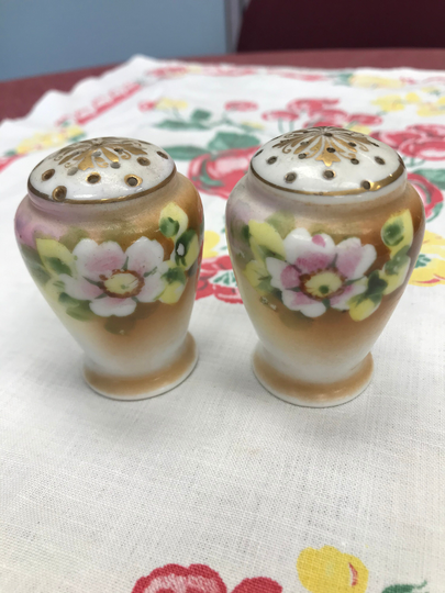 Vintage Nippon Hand Painted Salt & Pepper Shaker Set