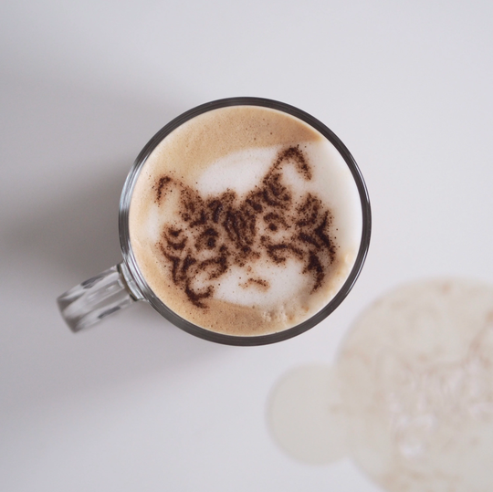 Moody Cat, Tabby Cat, Cat Lover Coffee Stencil, Cake Cookie Food Safe