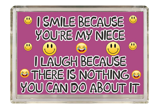 Fun Niece Gifts - Novelty Fridge Magnet I Smile Because You Are My Present For Birthday Christmas Small Gift For Your