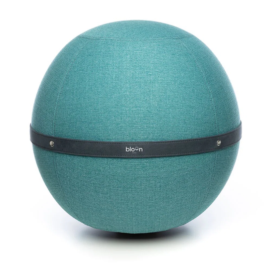 Ergonomic Ball Seat