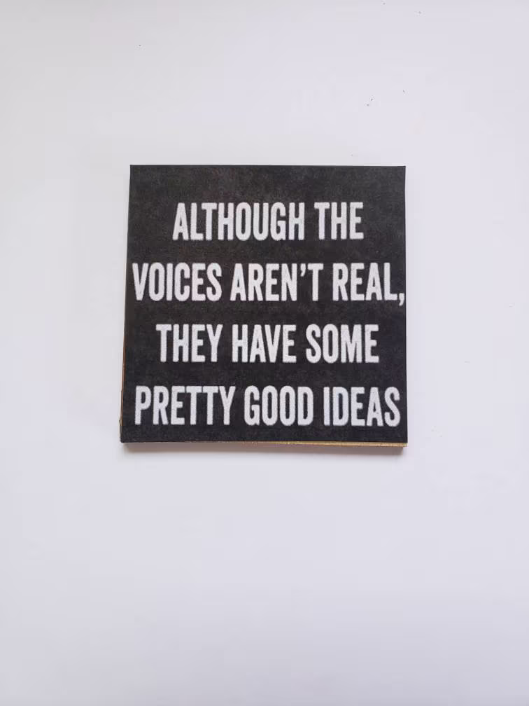 Sarcastic Funny Fridge Magnet