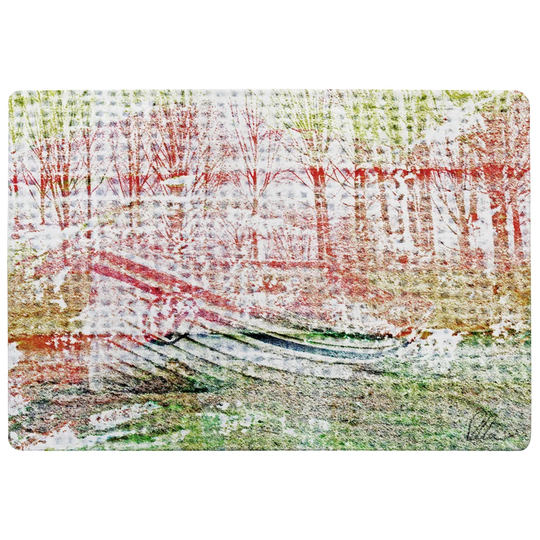 Lian Washed up Designer Shaggy Red/Green Rug