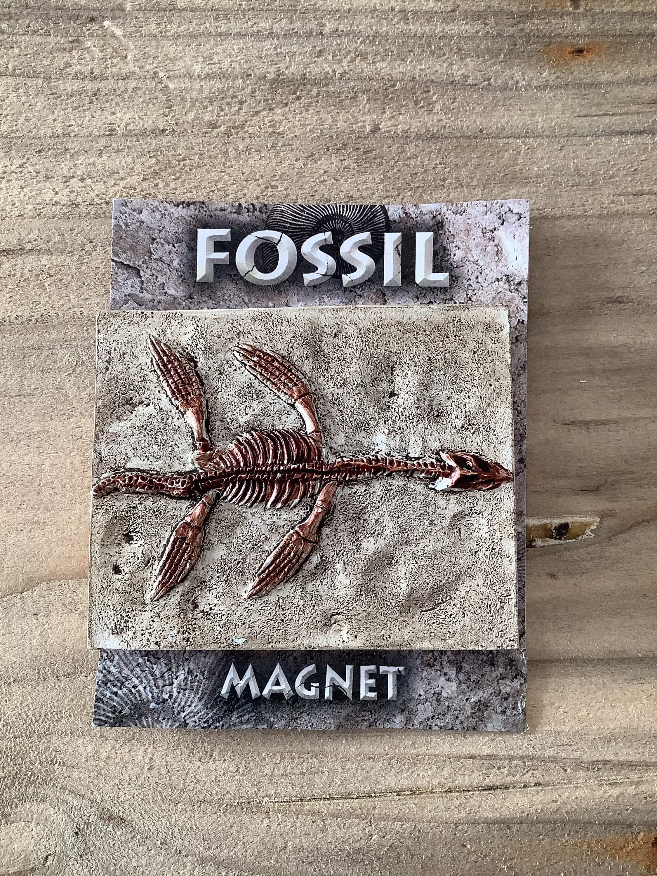 Plesiosaur Fossil Prehistoric Fridge Magnet