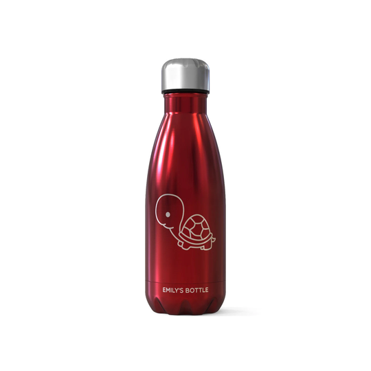 Personalised Coho Flask/Bottle - Cute Turtle