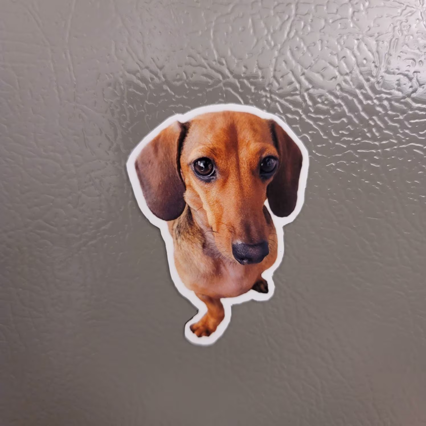 Custom Pet Magnet, Fridge Magnet, Pet Gifts, Dog Cat Refrigerator Kitchen Decor, Christmas Gift, Simple Gift