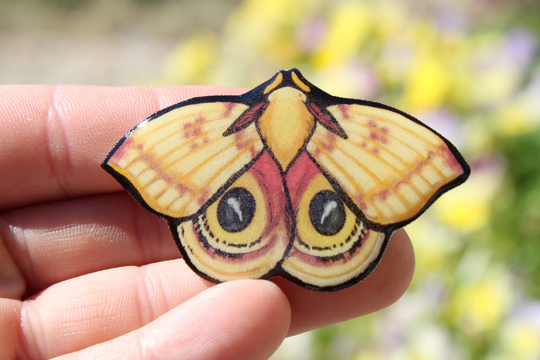 Io Moth Magnet Gift For Lover, Teachers, Zookeepers, Gardeners, Vet Techs, Zookeepers Cute Animal Bug Magnet Fridge Or Locker