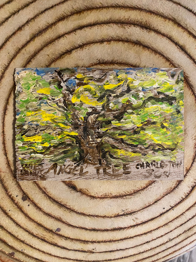 Angel Oak Tree - Outer Banks 11x7 Painted On Genuine Cedar Shake Shingle Officially Unofficial Fan Art