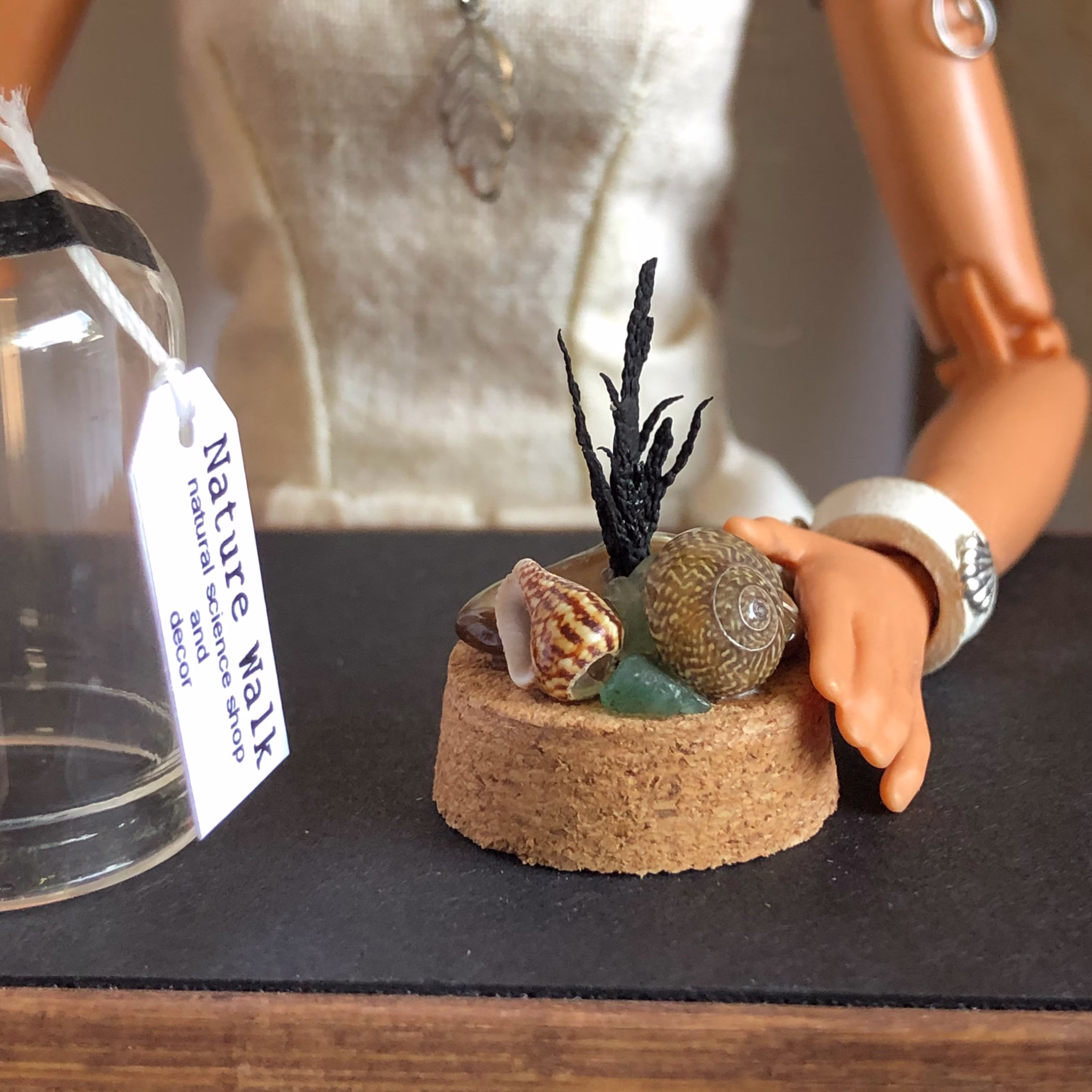 Miniature 16 Scale Seashell Glass Cloche - With Dried Seaweed