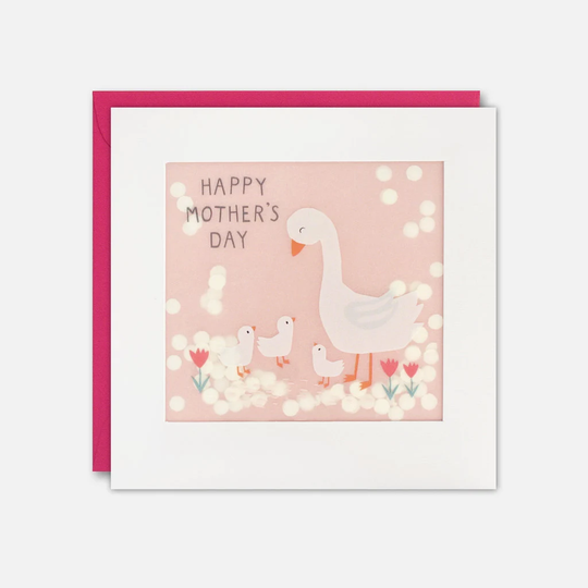 Geese Mother's Day Card With Paper Confetti - Shakies By James Ellis