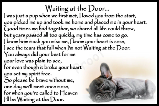 French Bulldog Frenchie Dog Pet Loss Memorial Rainbow Bridge Sympathy Card Alternative Gift