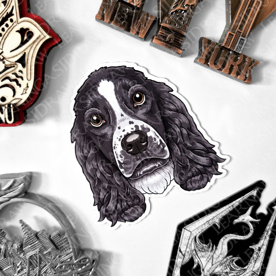 Spaniel Fridge Magnet Black & White Spotted Car Magnets