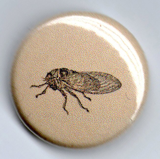 Cicada Tree Hopper 1 Inch Button Vintage Image