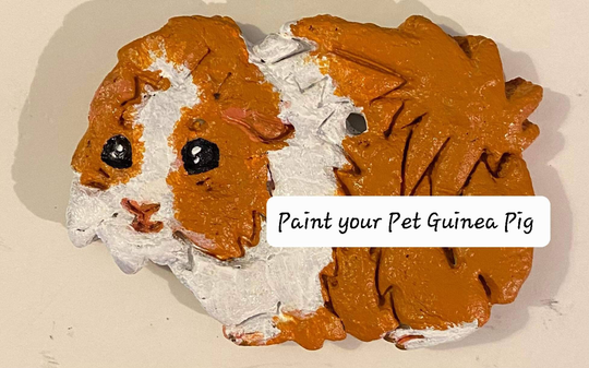 Paint Your Own Guinea Pig Figurine 2D 10cm X 8cm - 7 Designs To Choose From Birthday Christmas Gift, Pigs, Pig Presents Set