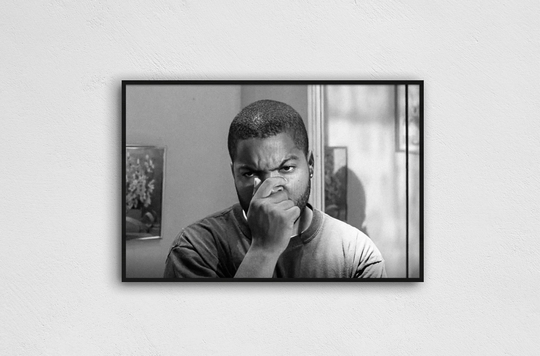 Friday Ice Cube Movie Poster Black & White 11x17 Inches