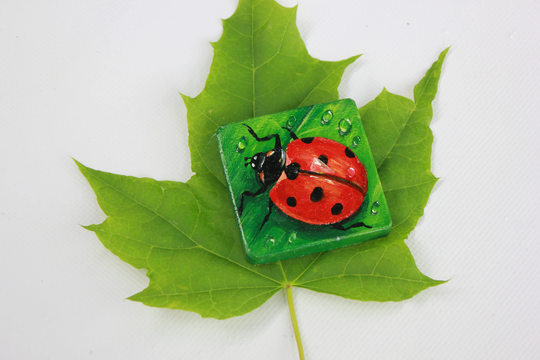Ladybug Magnet, Handmade Refrigerator Magnet, Kitchen Decor, Painting Wood Magnets, Art Wooden Magnets From Ukraine