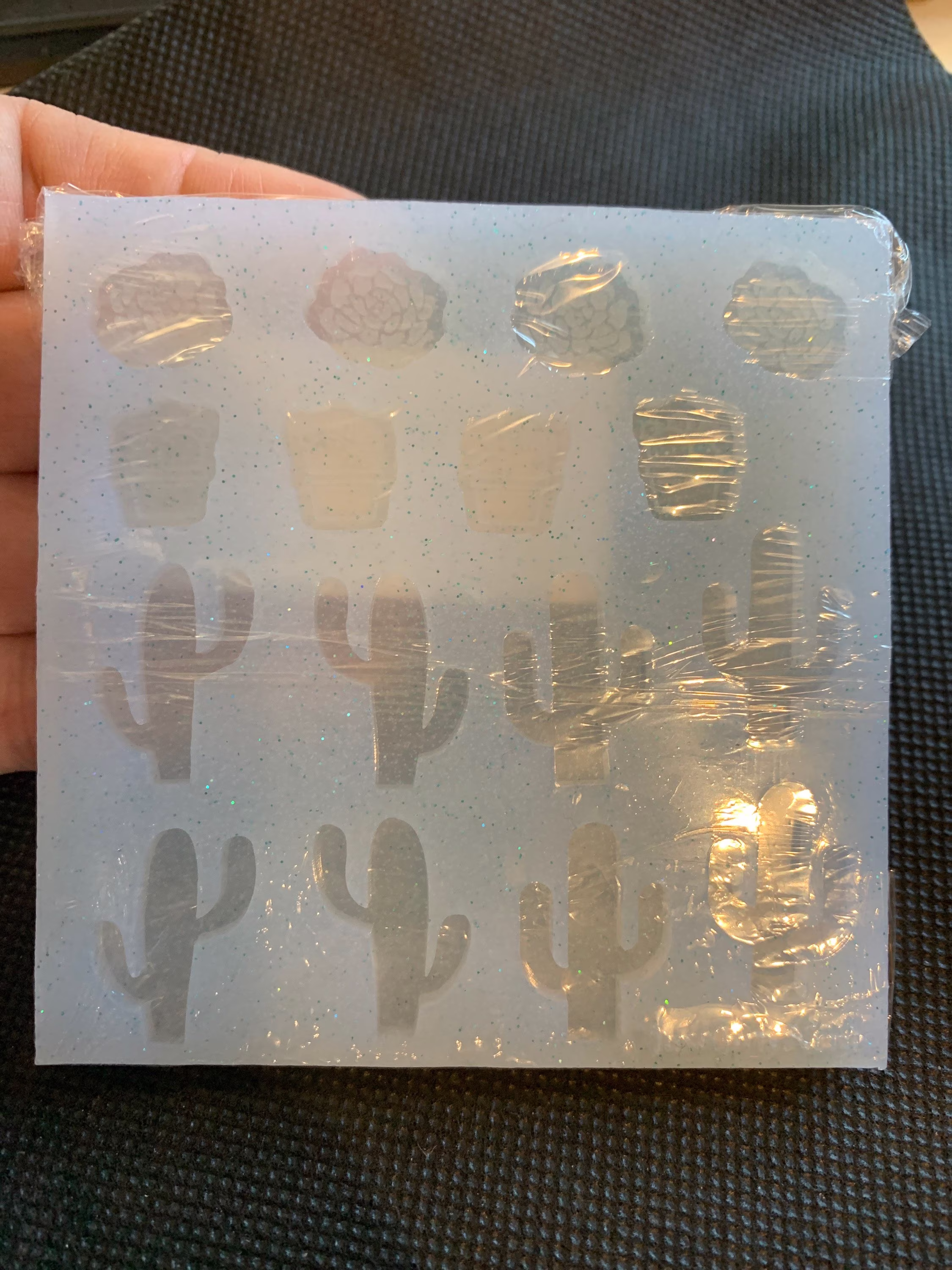 Clear Cactus Mold- Cacti Bits Mold - Succulent