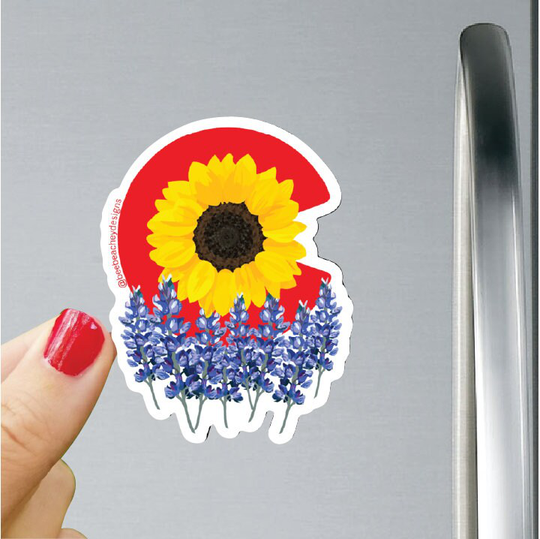 Colorado Magnet
