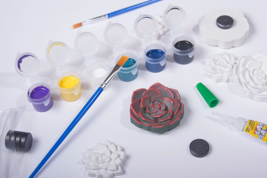 Decorative Diy Plaster Succulent Magnet Figurine Party Craft Paint Box Kit For Kids, Teens & Adults