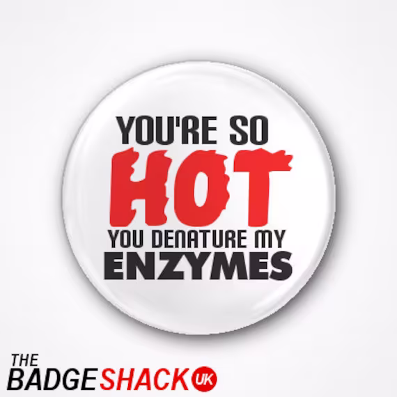 You're So Hot You Denature My Enzymes Pin Badge Or Magnet. Available As A 2.5cm 3.8cm Badge, Fridge Magnet Needle Minder