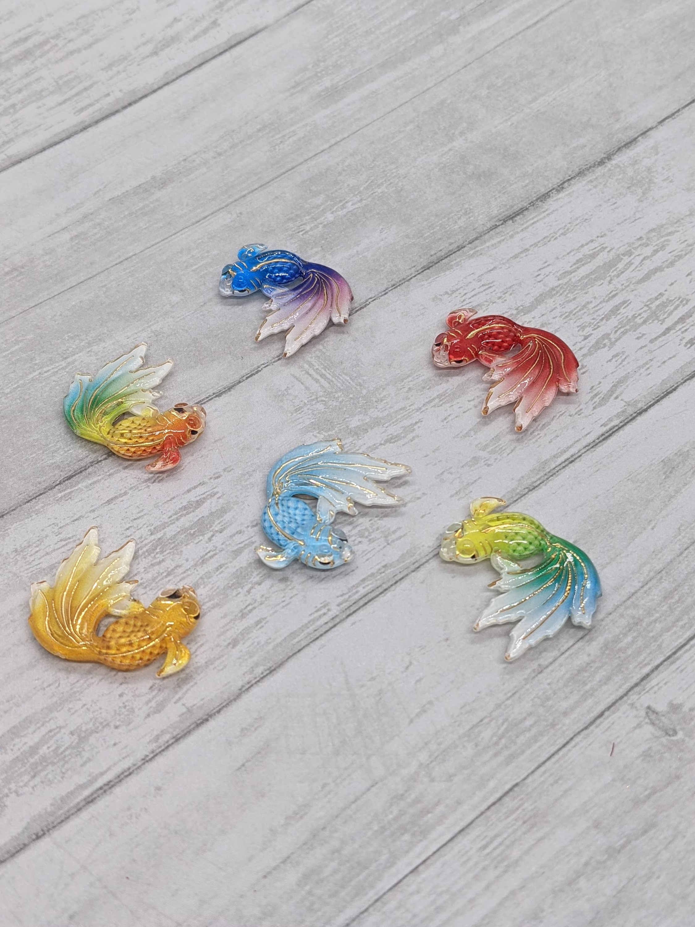 Beautiful Rainbow Fish Magnet Set