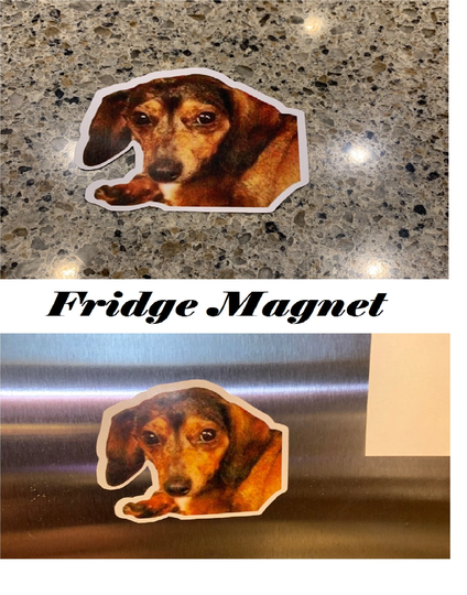 Turn Any Picture Into A Magnet - Custom Personalized Pet Or Person Add Text, Colors, Your Image, Ideas