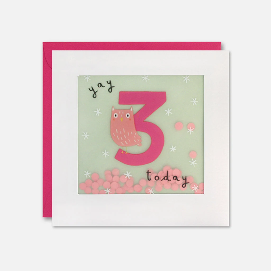 Age 3 Owl Birthday Card With Paper Confetti - Shakies By James Ellis