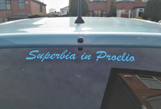 Manchester City "Superbia in Proelia