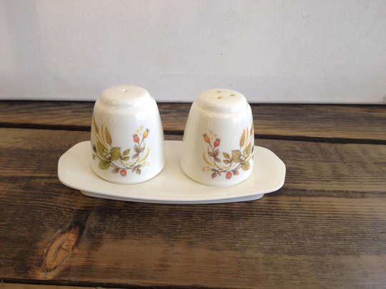 Vintage Cream Plastic Autumn Pattern 3 Piece Salt, Pepper & Stand Lovely Cruet Set in Good Condition