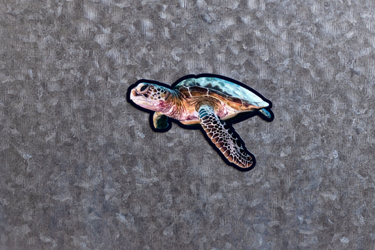 Sea Turtle Magnet | Die-Cut Refrigerator Car Ocean Lover Gift