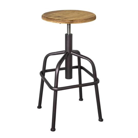 Roxana Height Adjustable Bar Stool