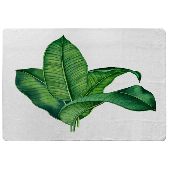 Olivas Shaggy Green/White Area Rug