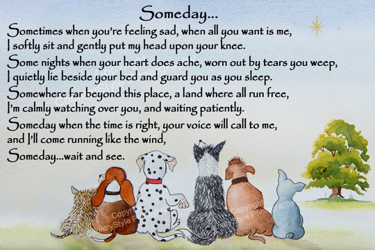 Pet Dog Memorial Keepsake Rainbow Bridge Gift Magnetic Flexible Plaque Verse Poem