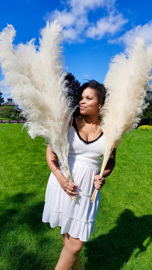5 Large Pampas Grass >>Plus 2 Stems Free - 45