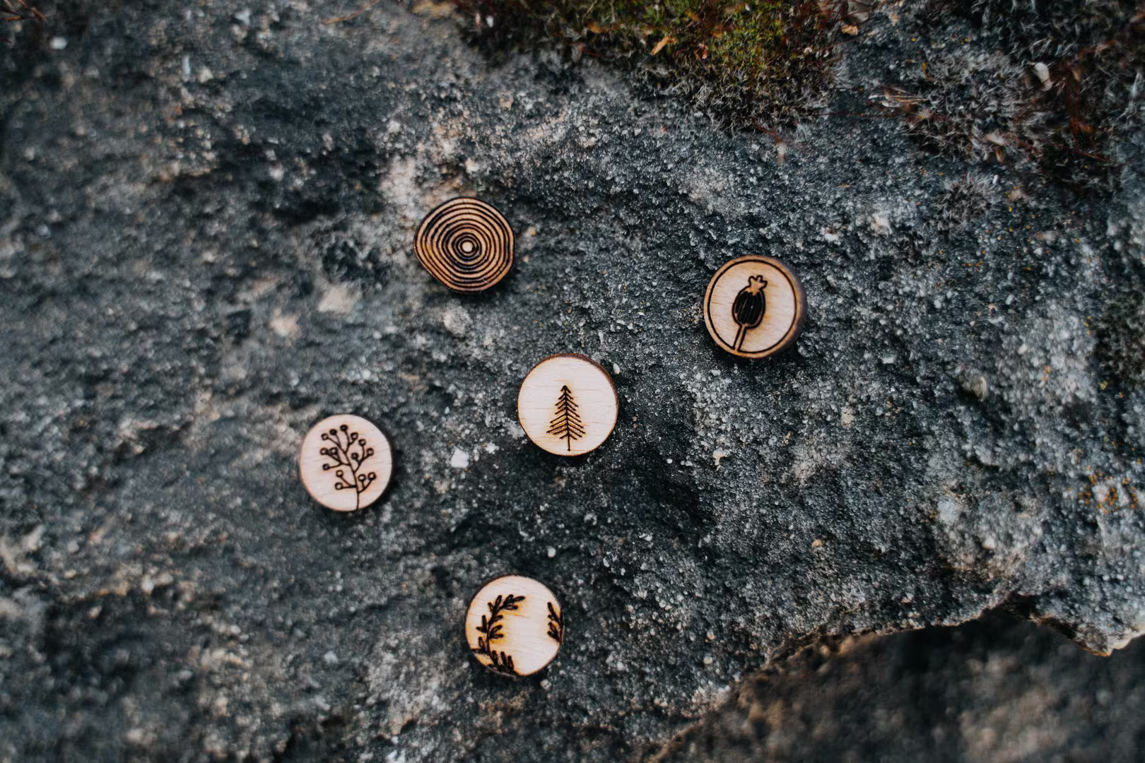 Wooden Magnets Set - Nature