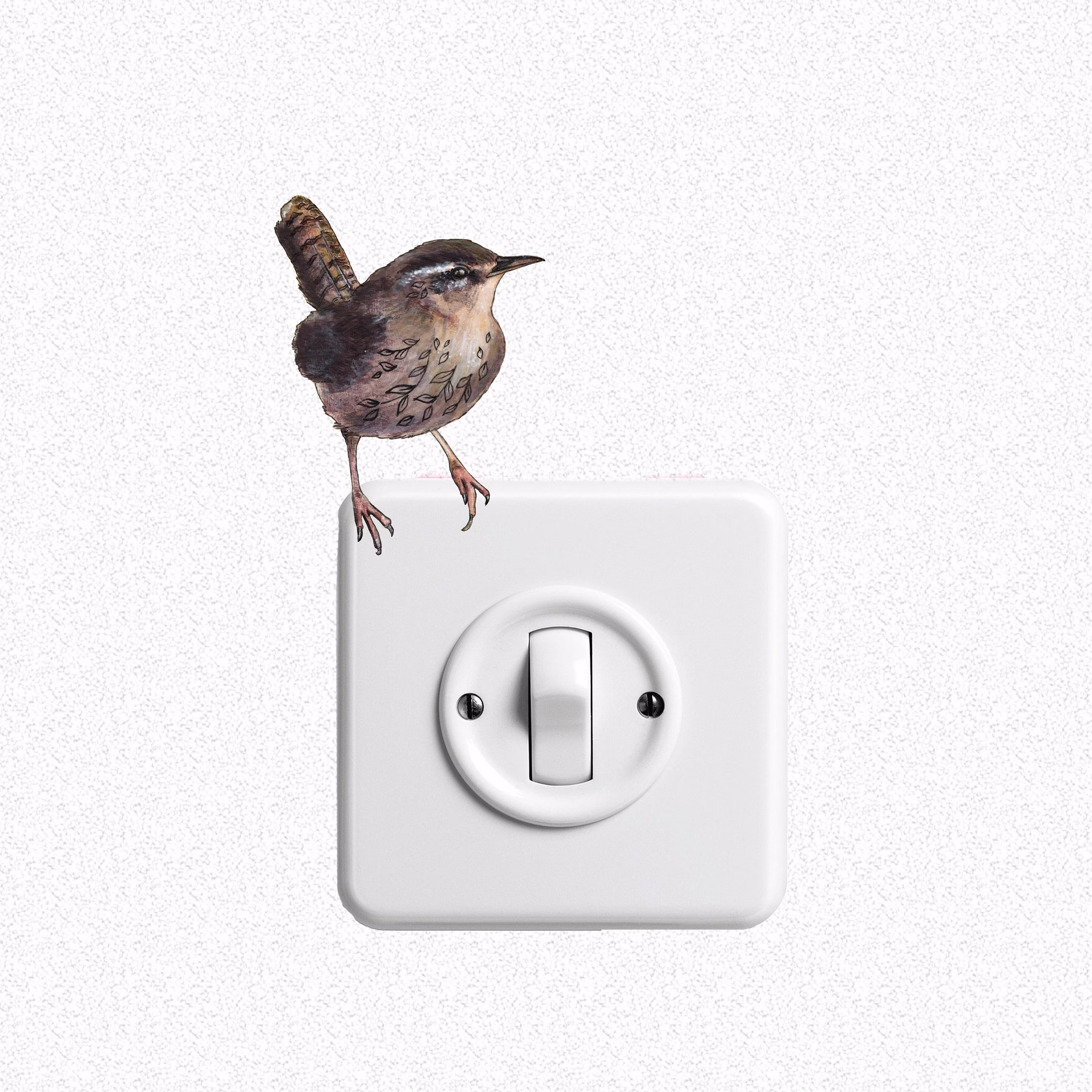 Removable Wall Stickers, Cute Wren Bird Vinyl Decal, British Garden Birds Nature Sticker