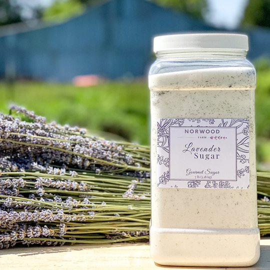 Bulk Gourmet Lavender Sugar