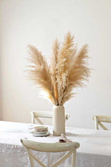 Natural Pampas Grass Arrangement | 5 Stems - Extra Fluffy Dried 45