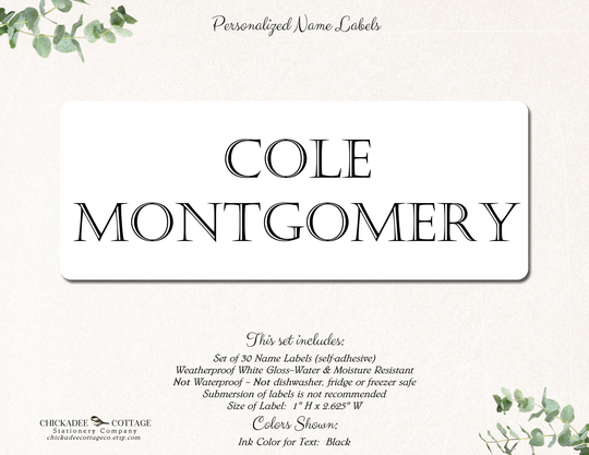 School Supply Labels, Name Stickers, Labels For Boys, Girls, Personalized Custom Ambition Name